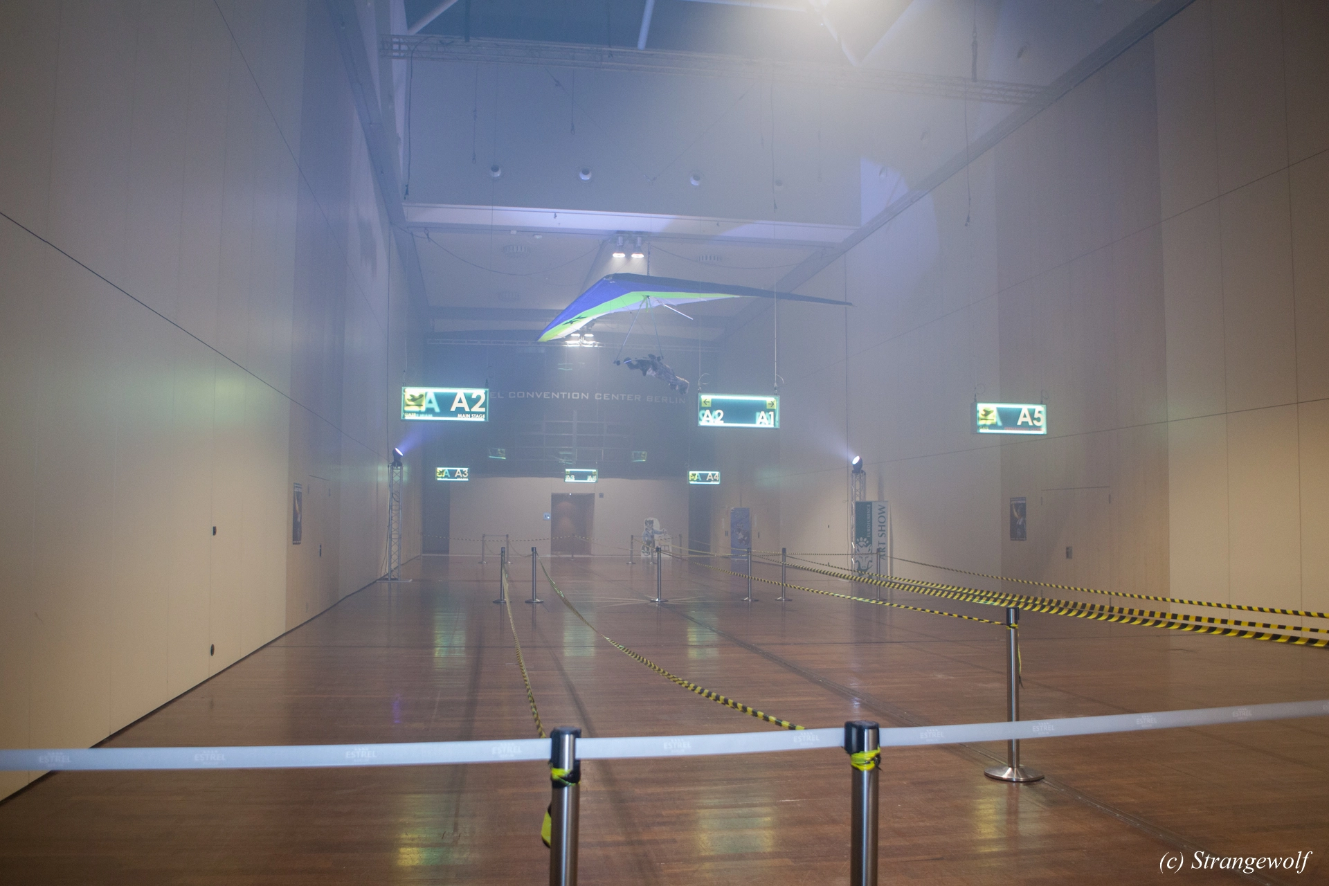 full image IMG_5010-lr19t.jpg