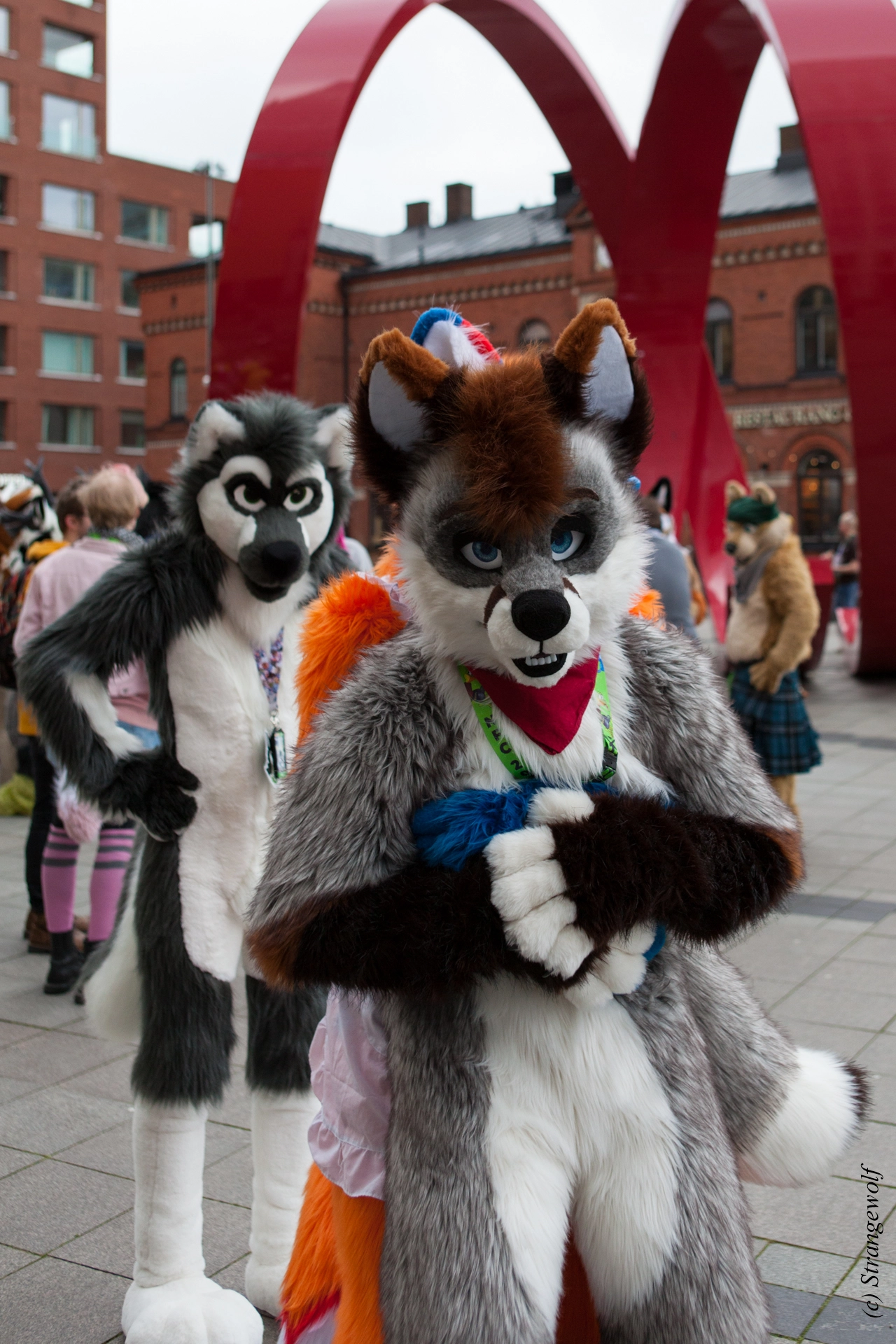 full image IMG_8390-lr19t.jpg