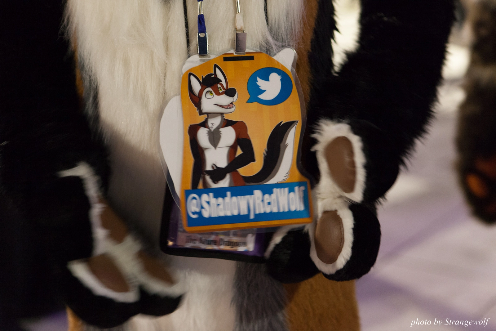 full image IMG_8539-lr16t.jpg