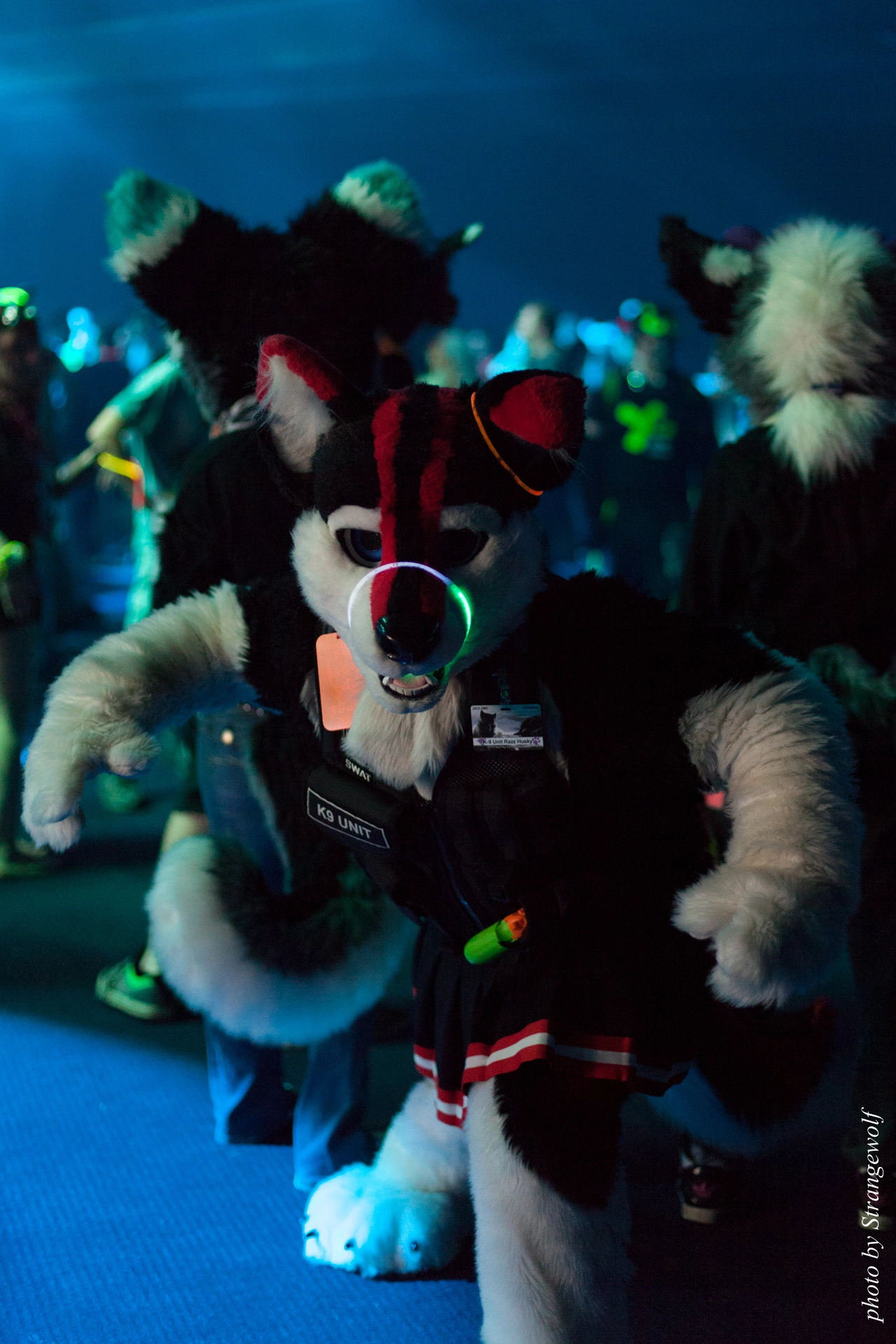 full image IMG_0586-lr19t.jpg