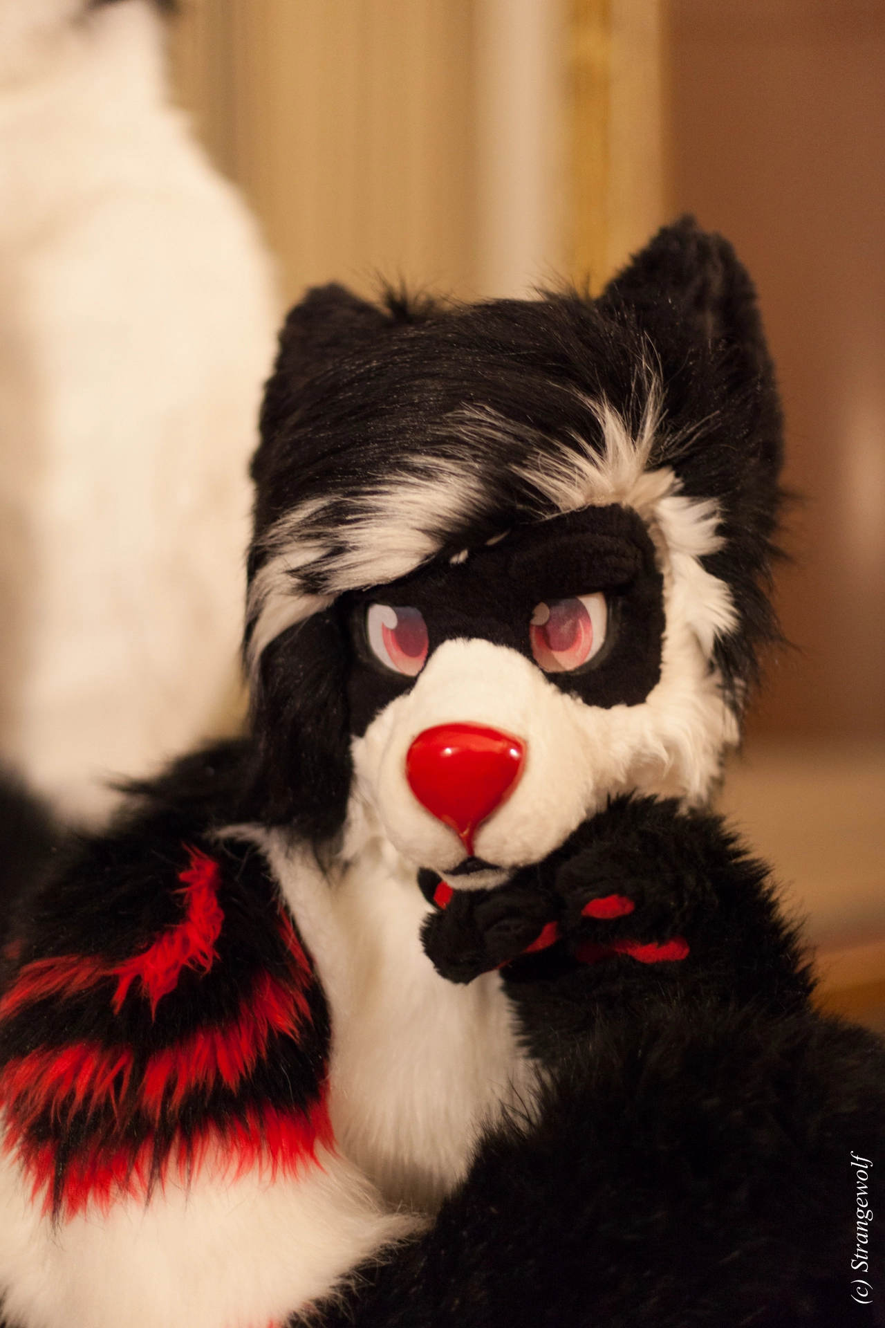 full image IMG_5865-lr19t.jpg