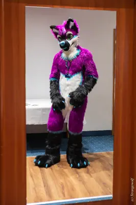 1R3A6663-lr19t.jpg of Furvester/Furvester2022/