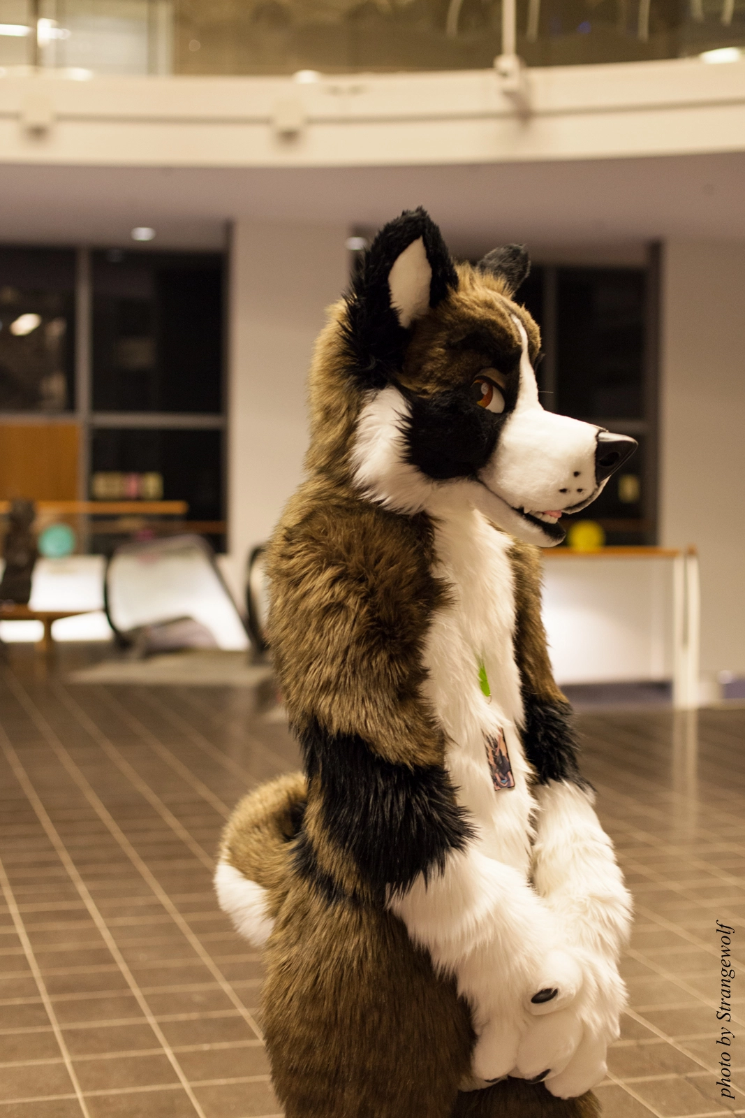 full image IMG_1970-lr16t.jpg