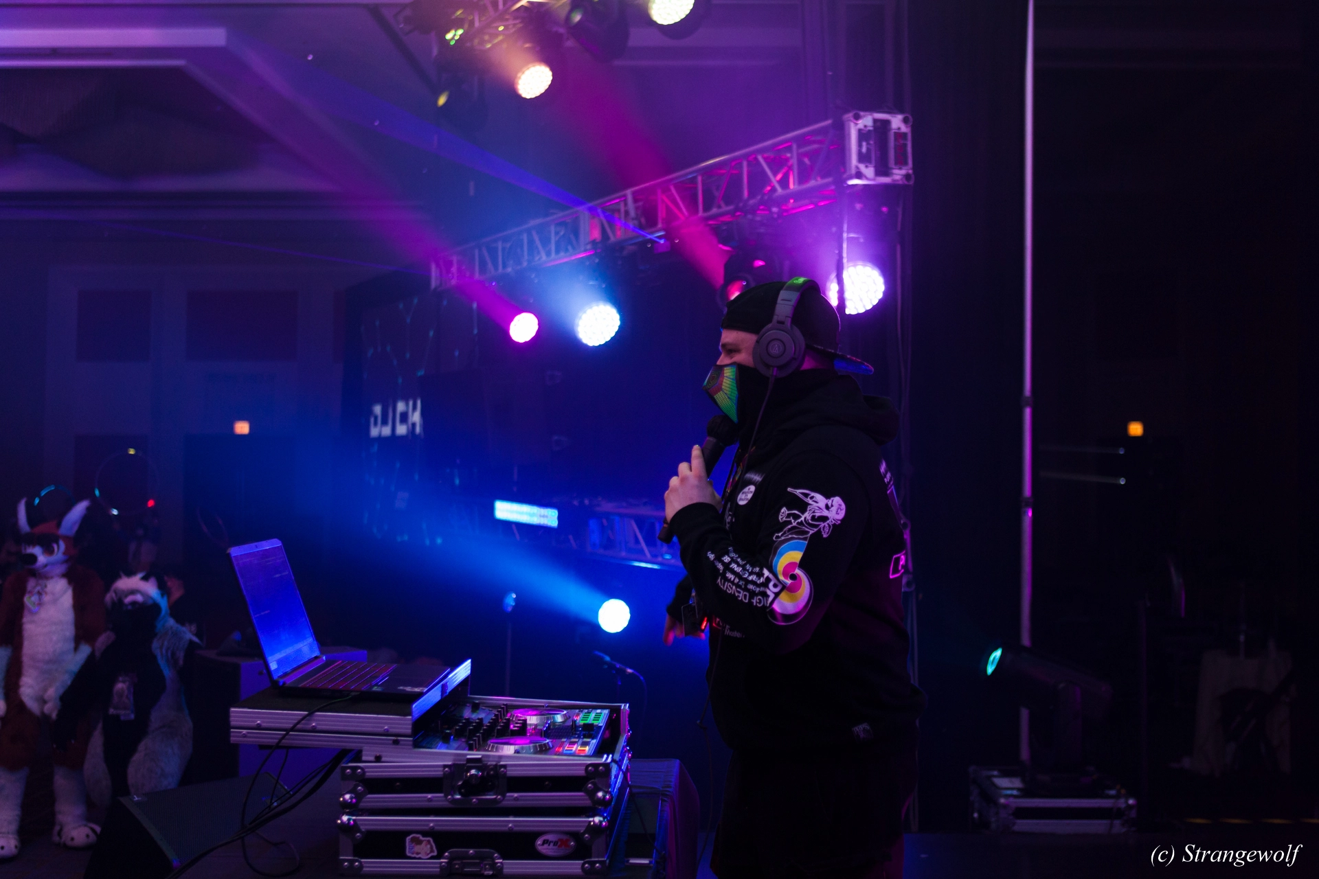 full image IMG_2307-lr19t.jpg