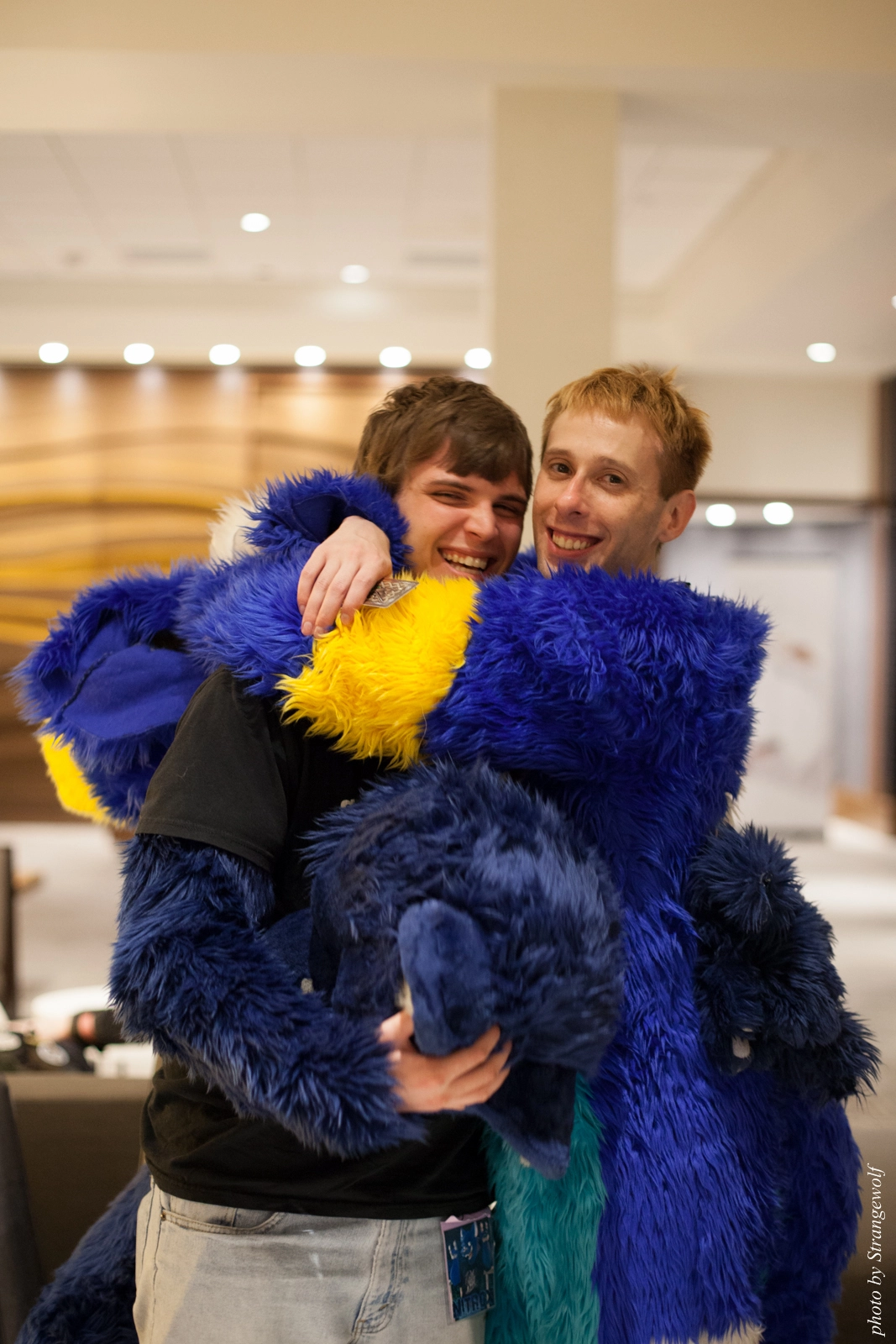 full image IMG_0657-lr16t.jpg