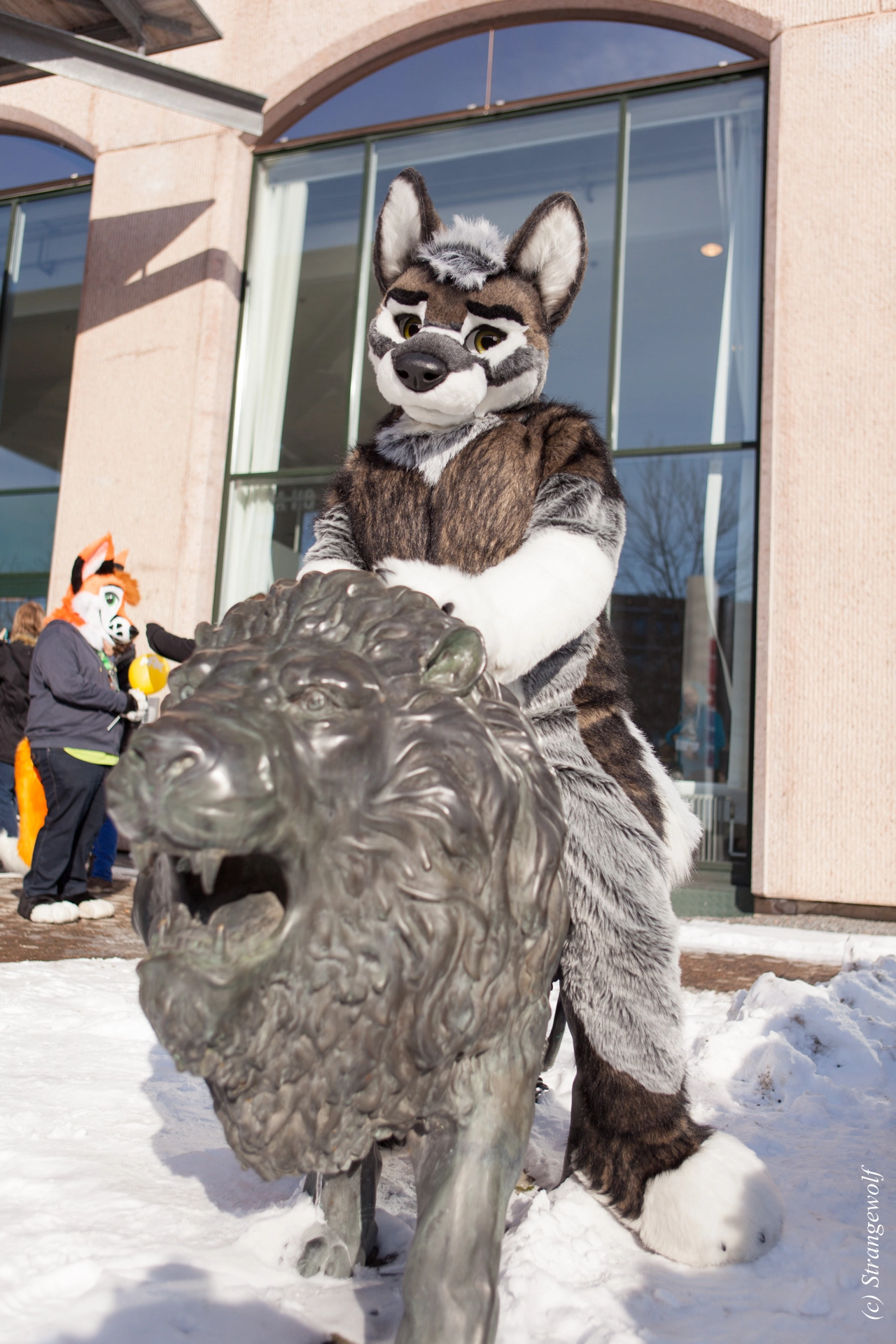 full image IMG_9537-lr19t.jpg