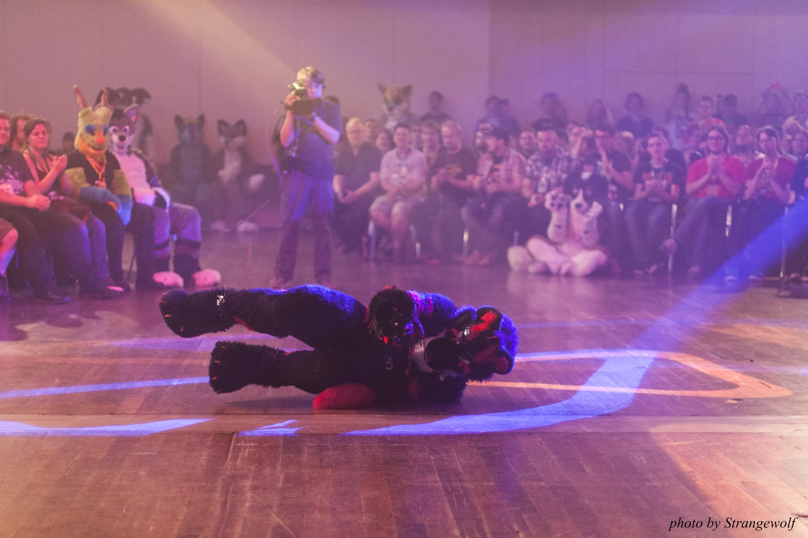 full image IMG_2653-lr16t.jpg