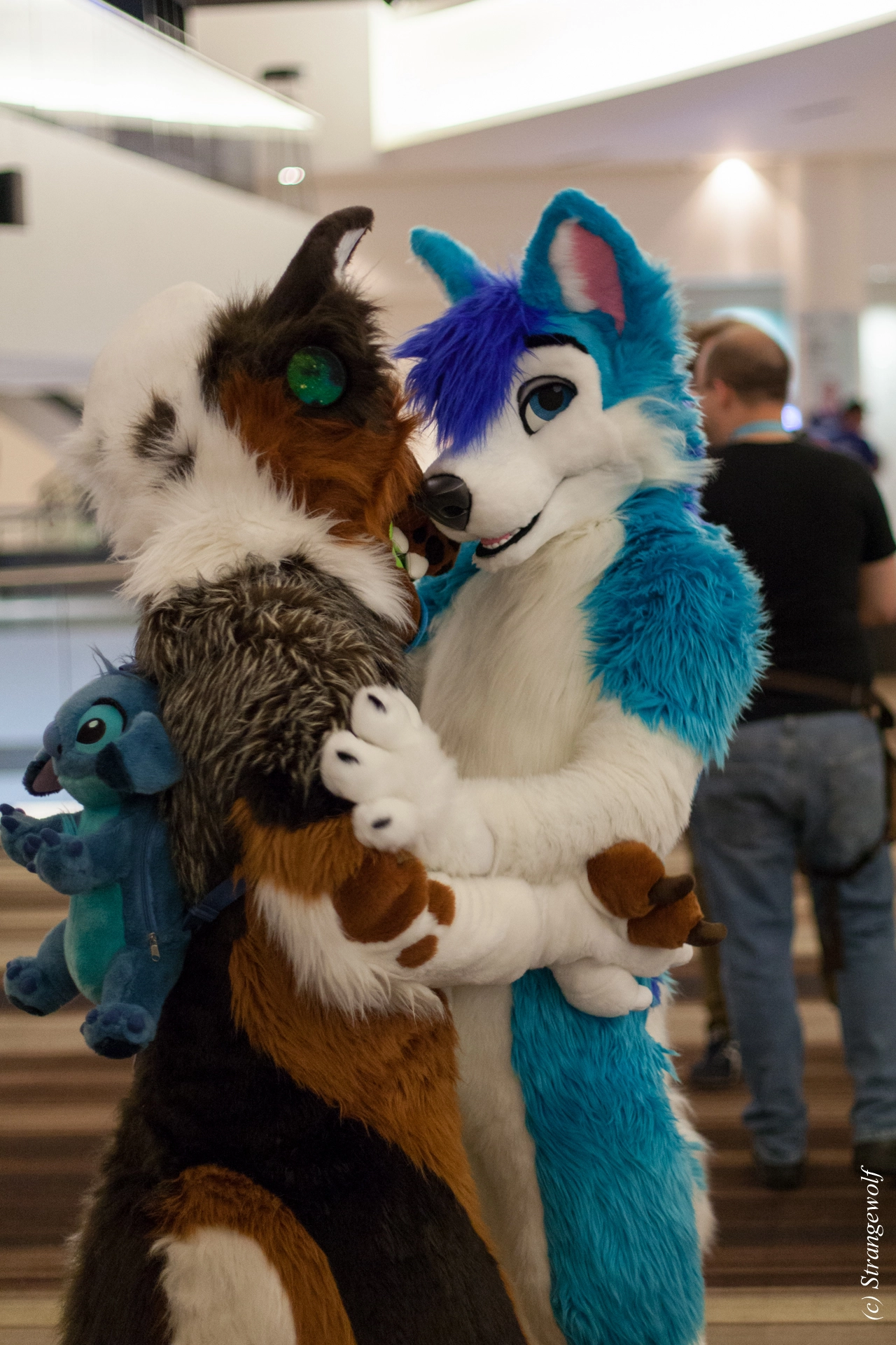 full image IMG_1897-lr19t.jpg