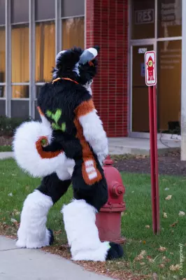IMG_1026-lr19t.jpg of MFF/MFF2021/
