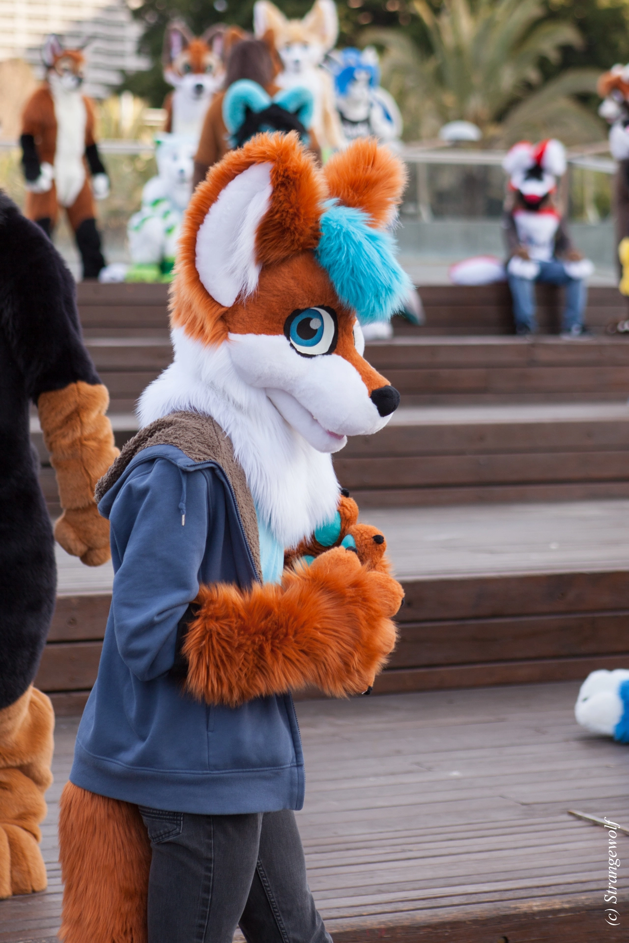 full image IMG_4609-lr19t.jpg