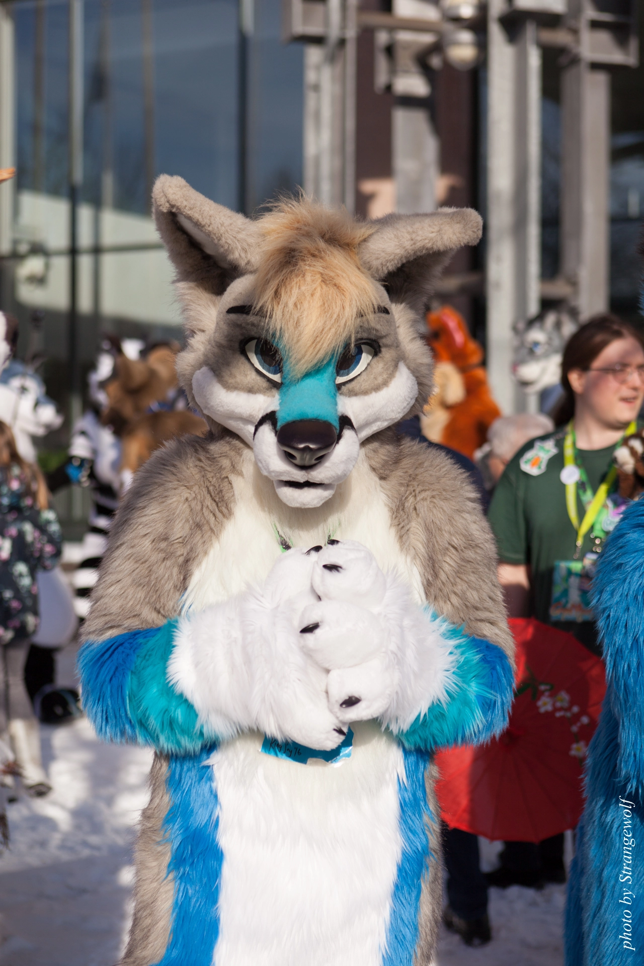 full image IMG_9610-lr19t.jpg