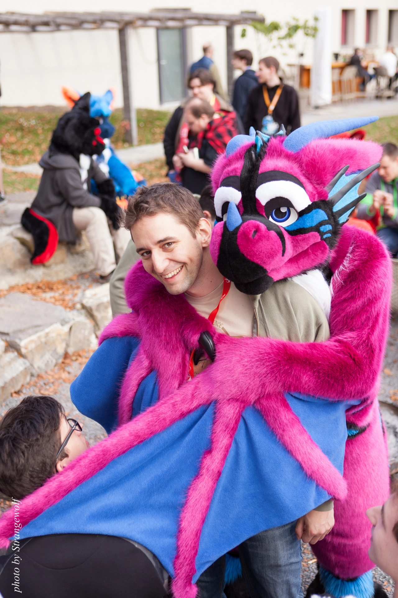 full image IMG_7910-lr19t.jpg