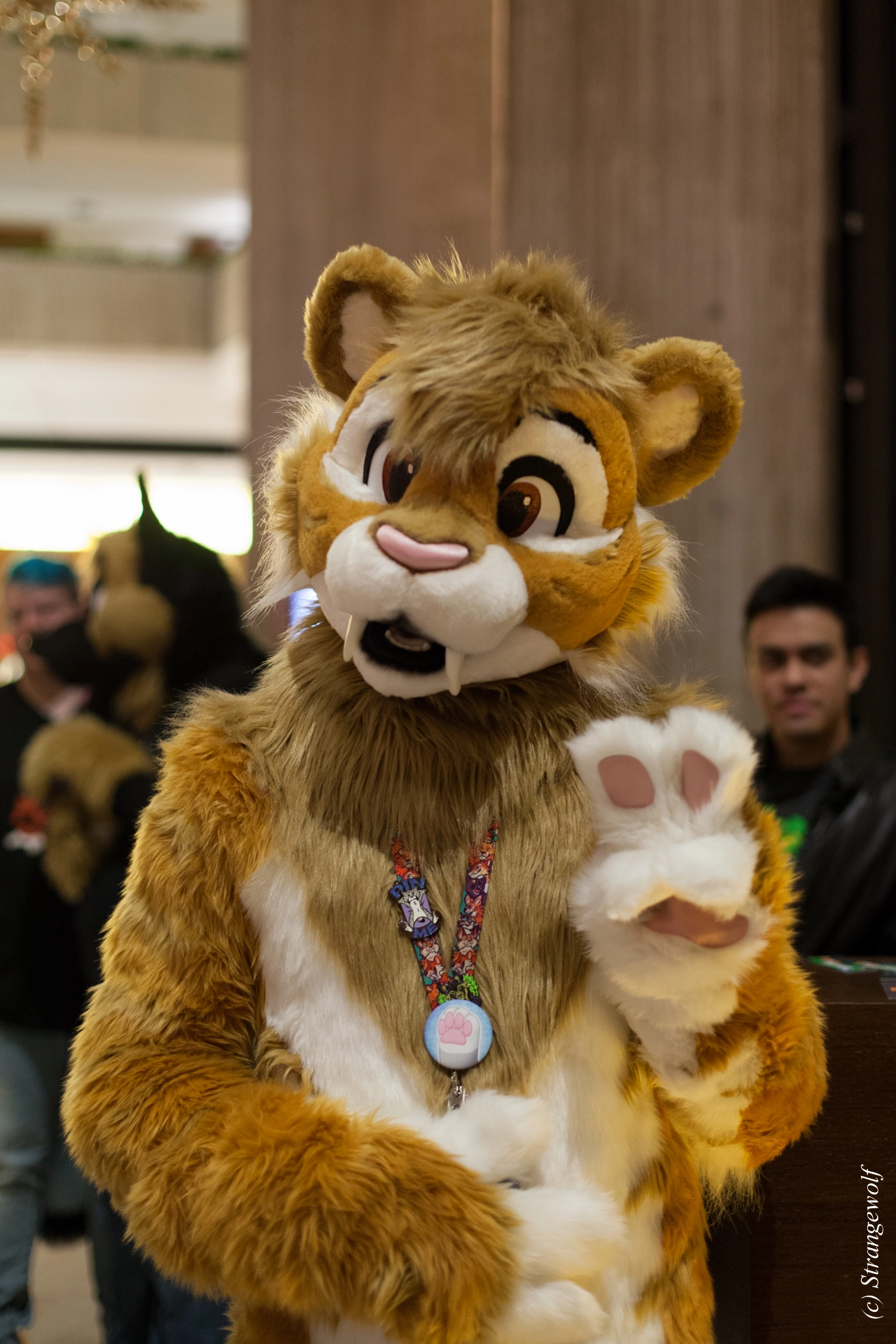 full image IMG_8101-lr19t.jpg