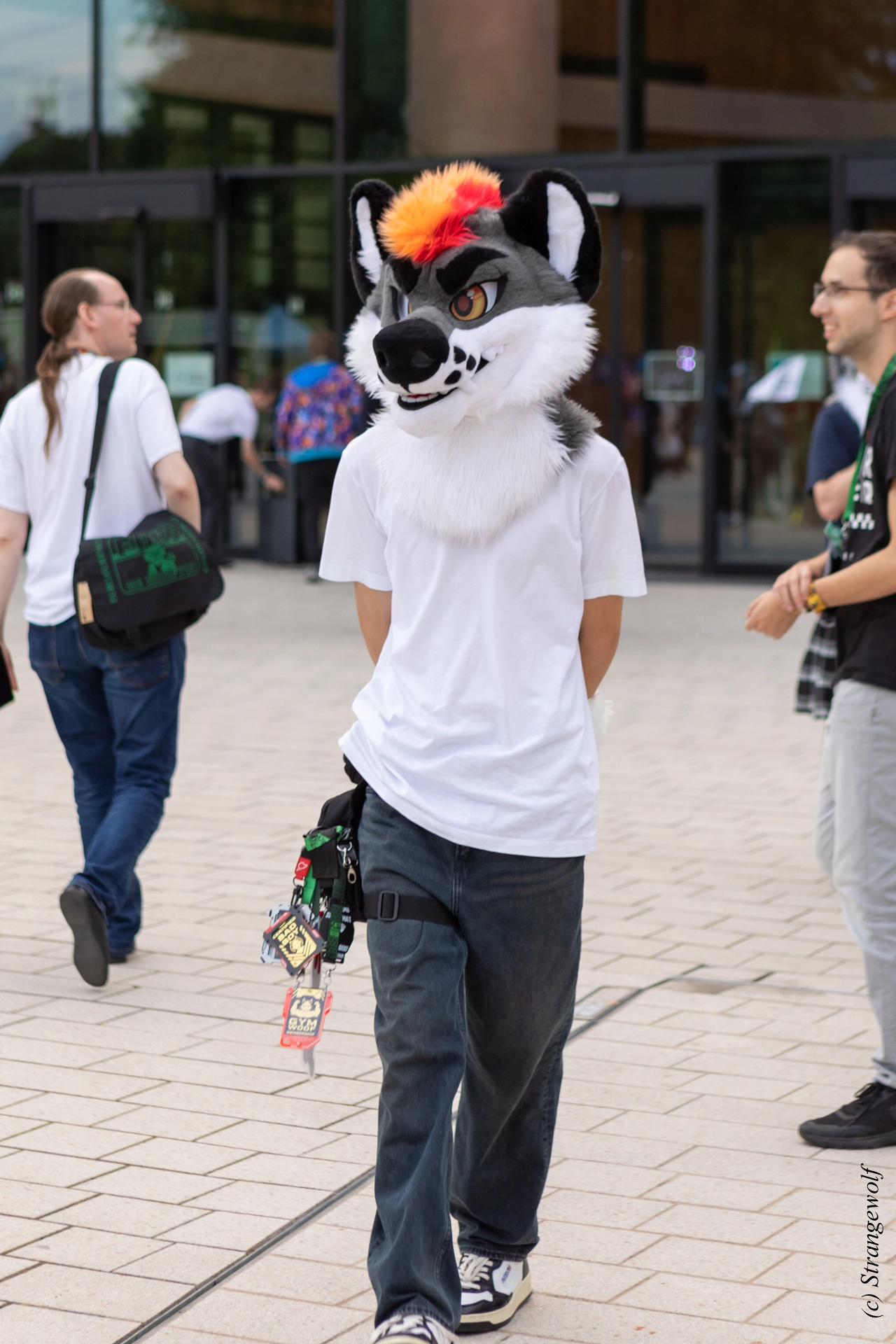 full image 1R3A9160-lr19t.jpg