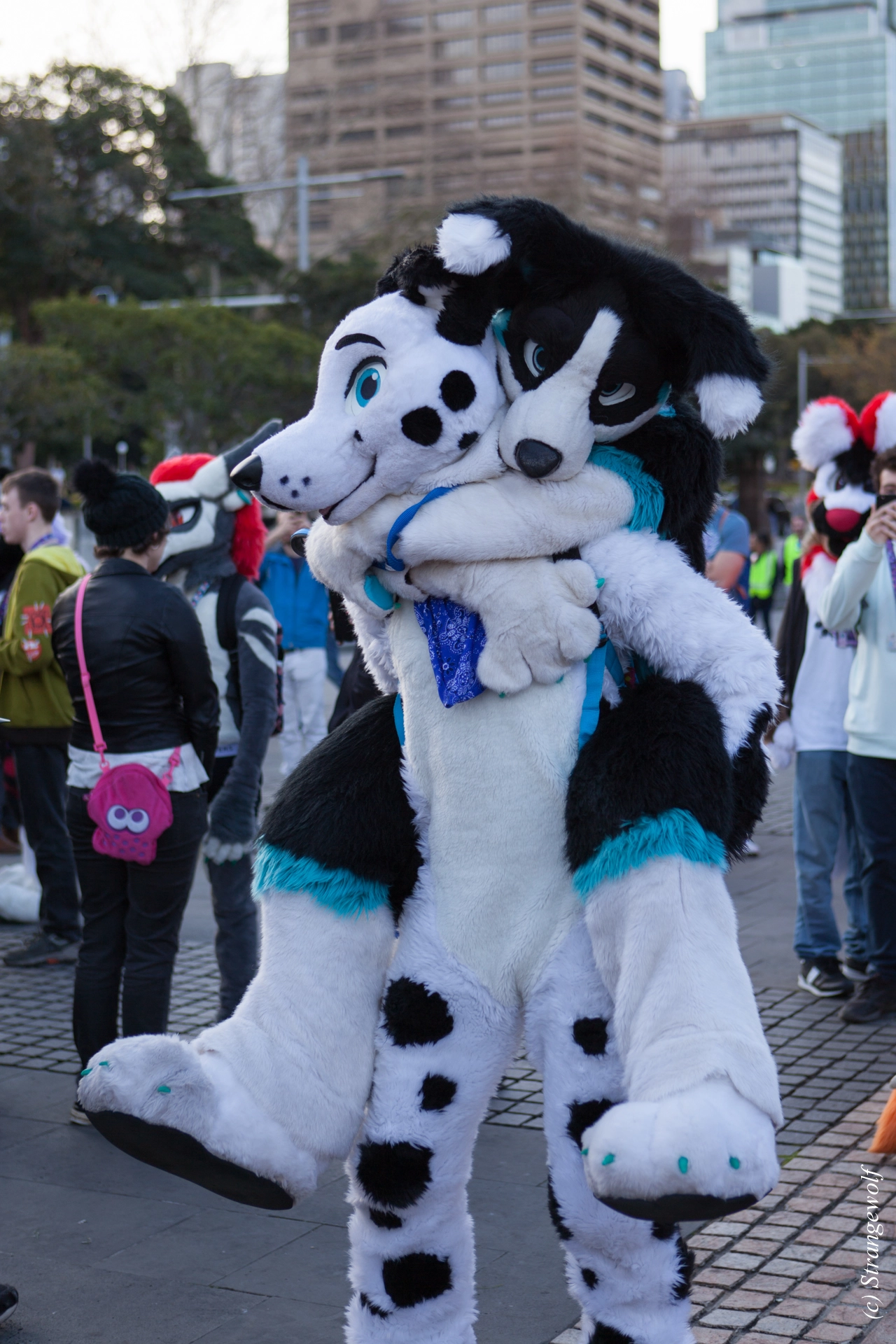 full image IMG_4674-lr19t.jpg