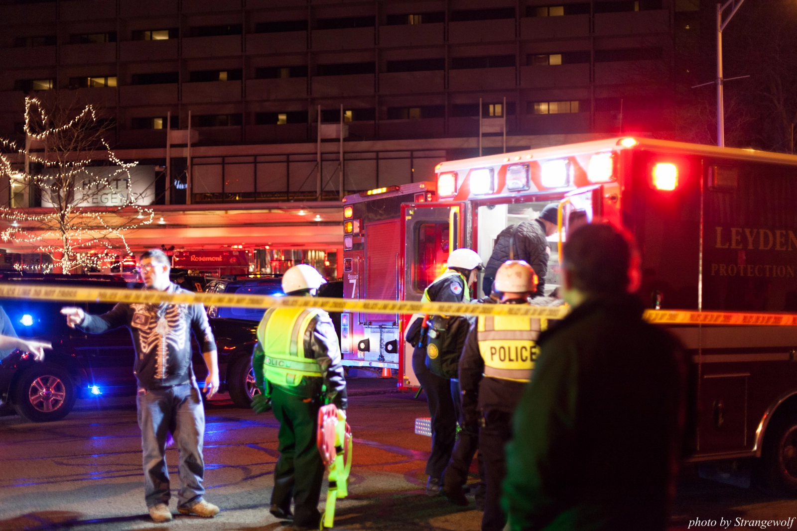 full image IMG_6466-lr16t.jpg