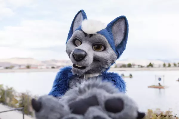 IMG_2678-lr19t.jpg of BLFC/2018/