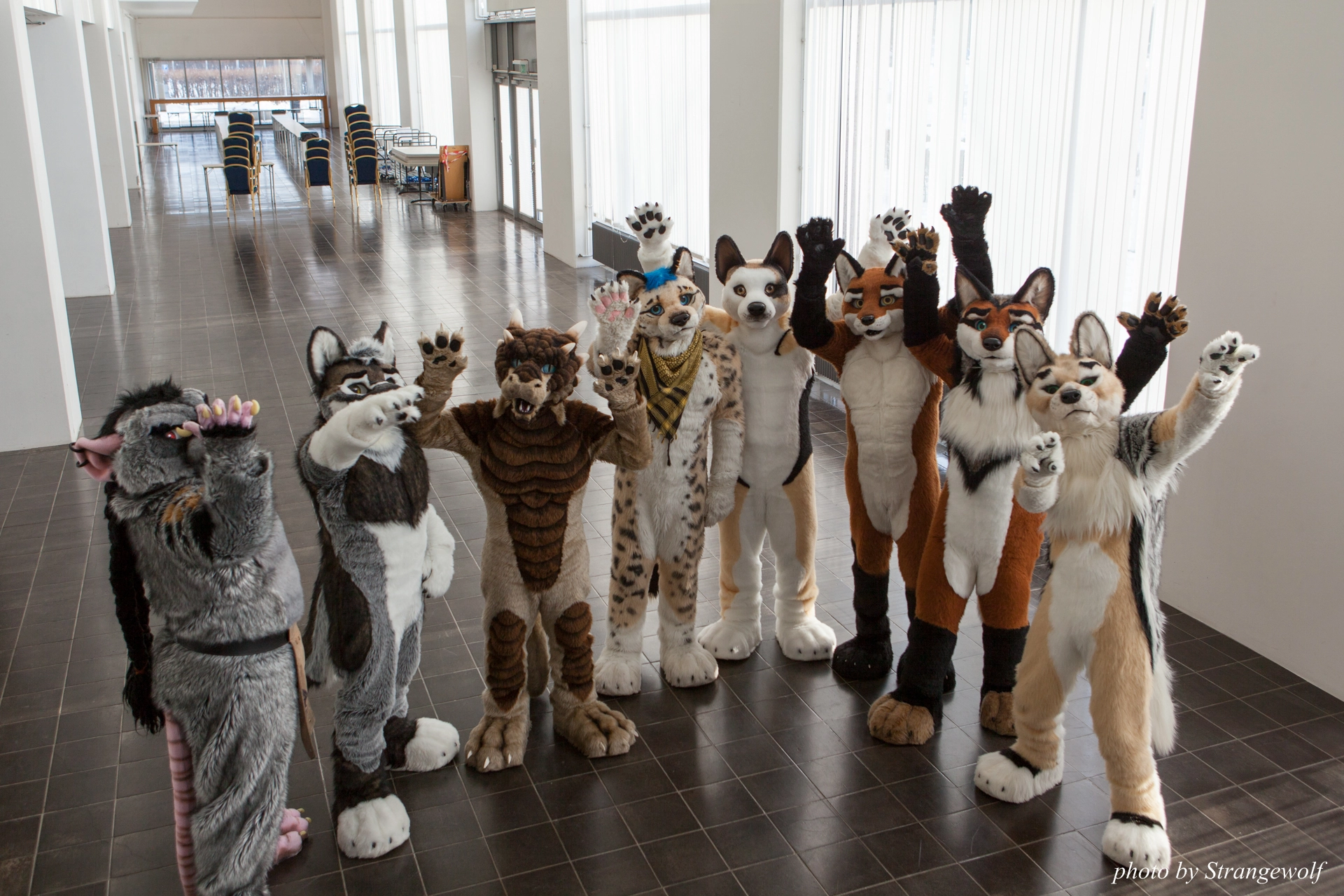 full image IMG_0389-lr19t.jpg