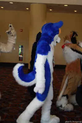 IMG_0528-lr.jpg of MFF/MFF2013/