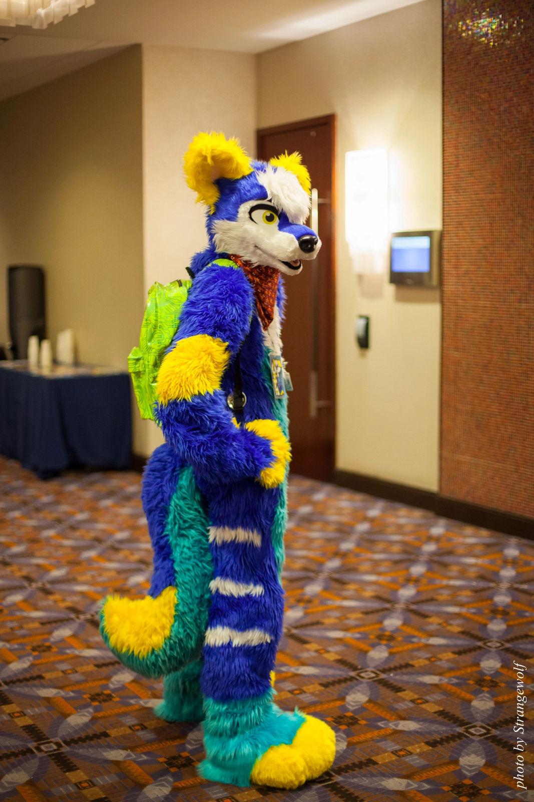 full image IMG_0877-lr16t.jpg