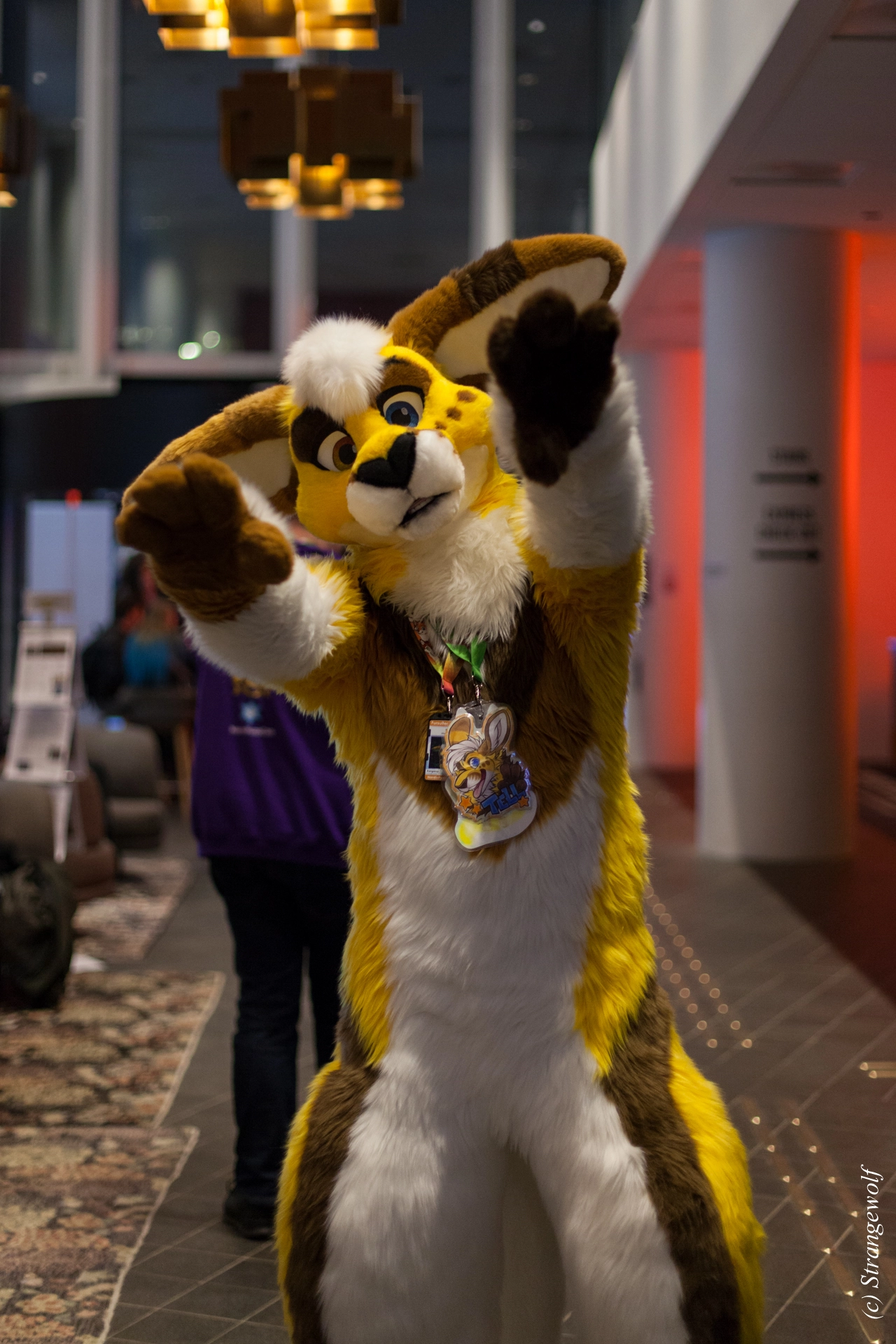 full image IMG_9129-lr19t.jpg