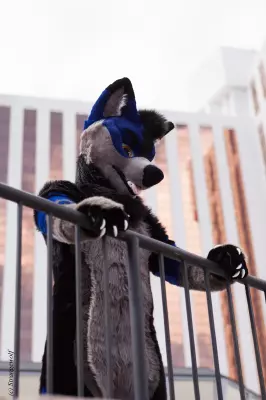 IMG_2774-lr19t.jpg of BLFC/2019/Fotoshoot-Slate/