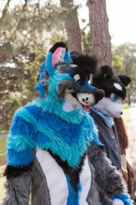 IMG_4234-lr19t.jpg of HCFC/HCFC2019/