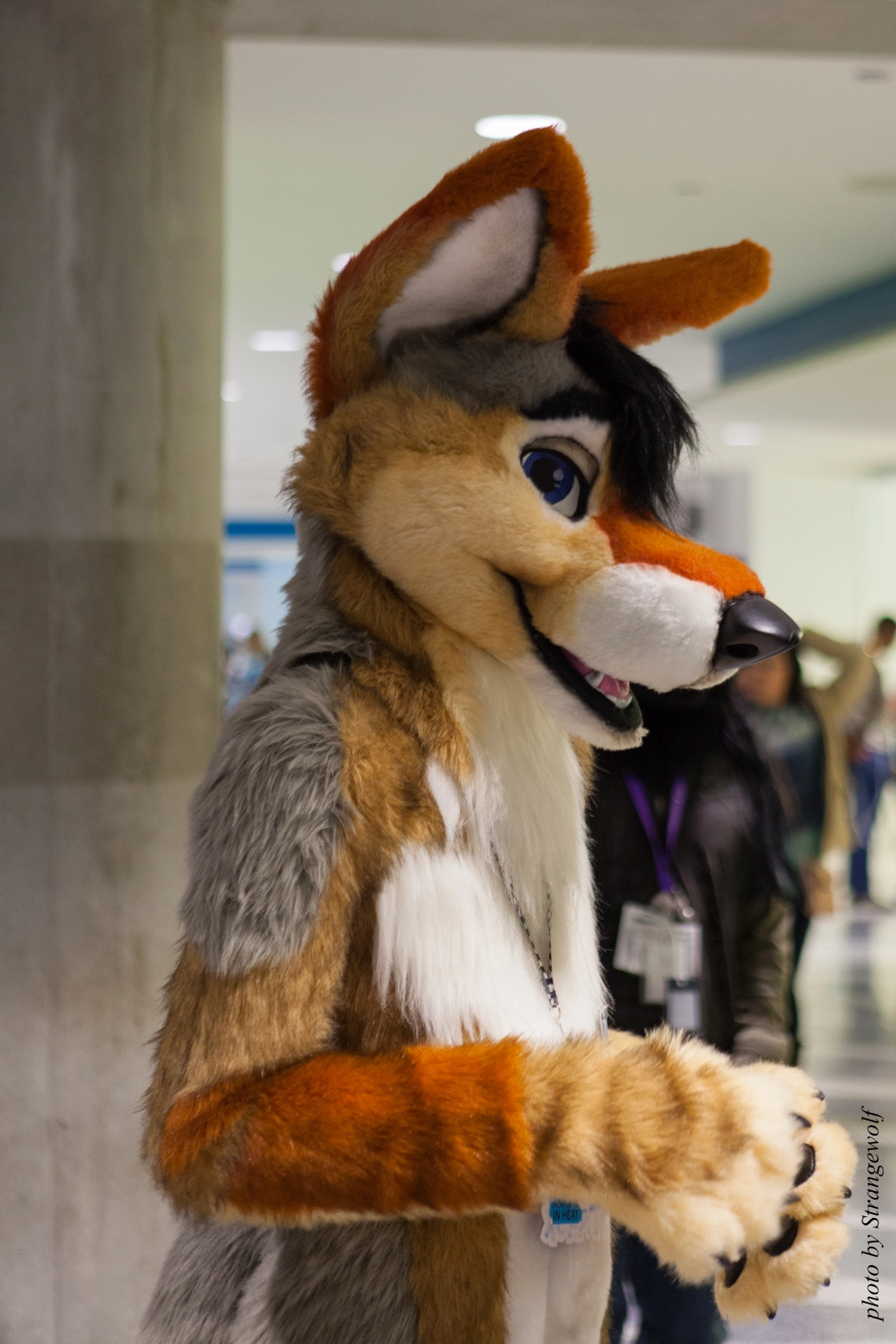 full image IMG_1094-lr16t.jpg