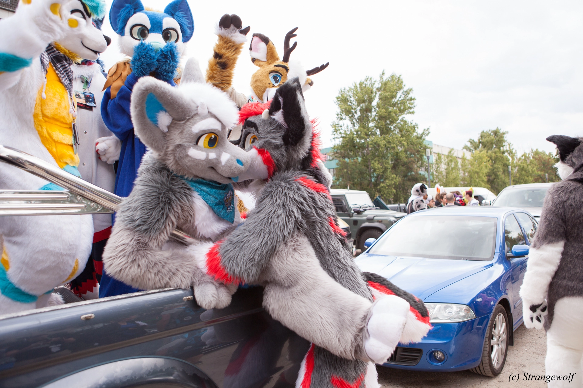 full image IMG_5289-lr19t.jpg