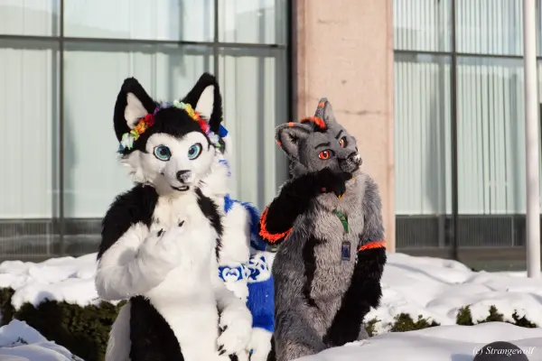 IMG_9984-lr19t.jpg of NFC/NFC2018/