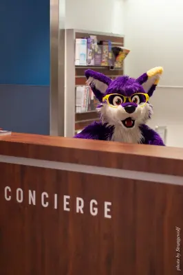 IMG_1368-lr16t.jpg of FC/FC2017/