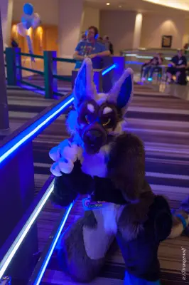 IMG_1321-lr19t.jpg of FWA/FWA2018/