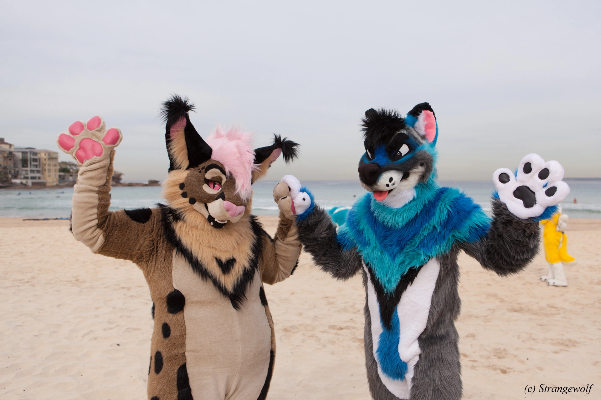 full image IMG_4460-lr19t.jpg