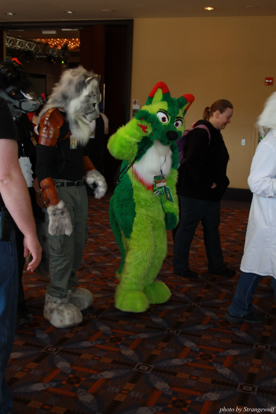 full image IMG_0573-lr.jpg