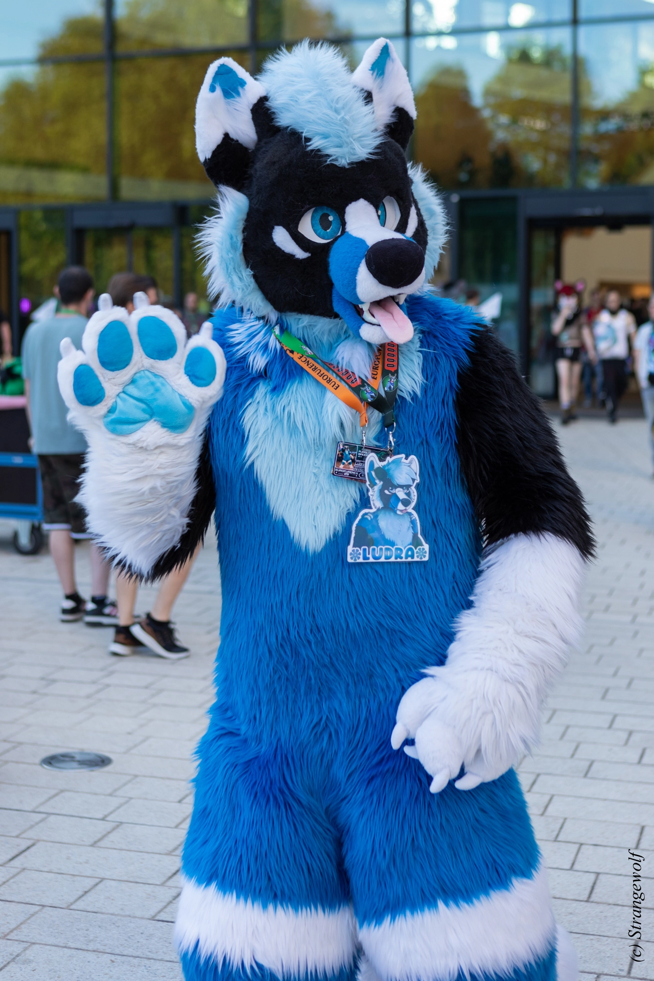 full image 1R3A9316-lr19t.jpg