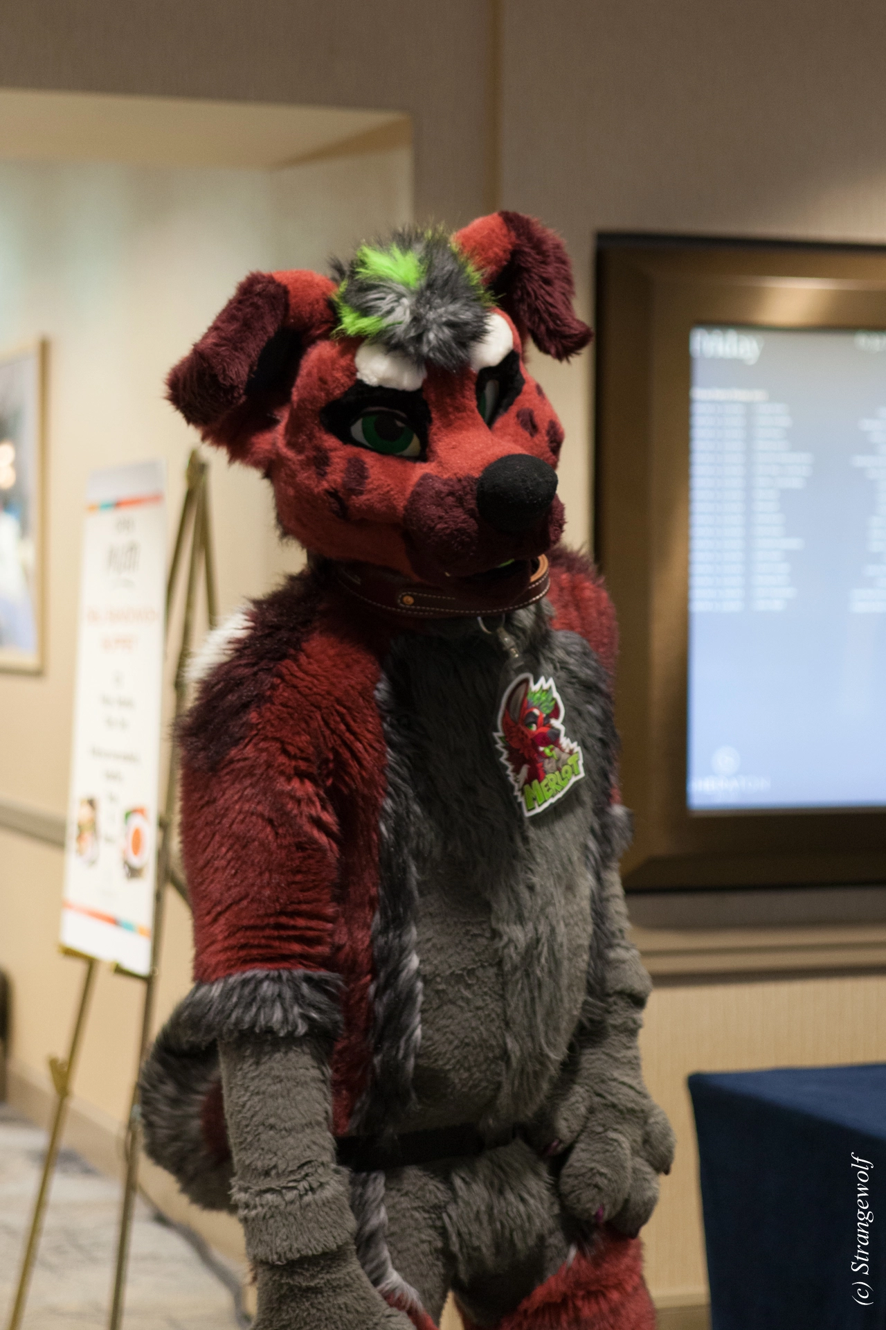 full image IMG_3853-lr19t.jpg
