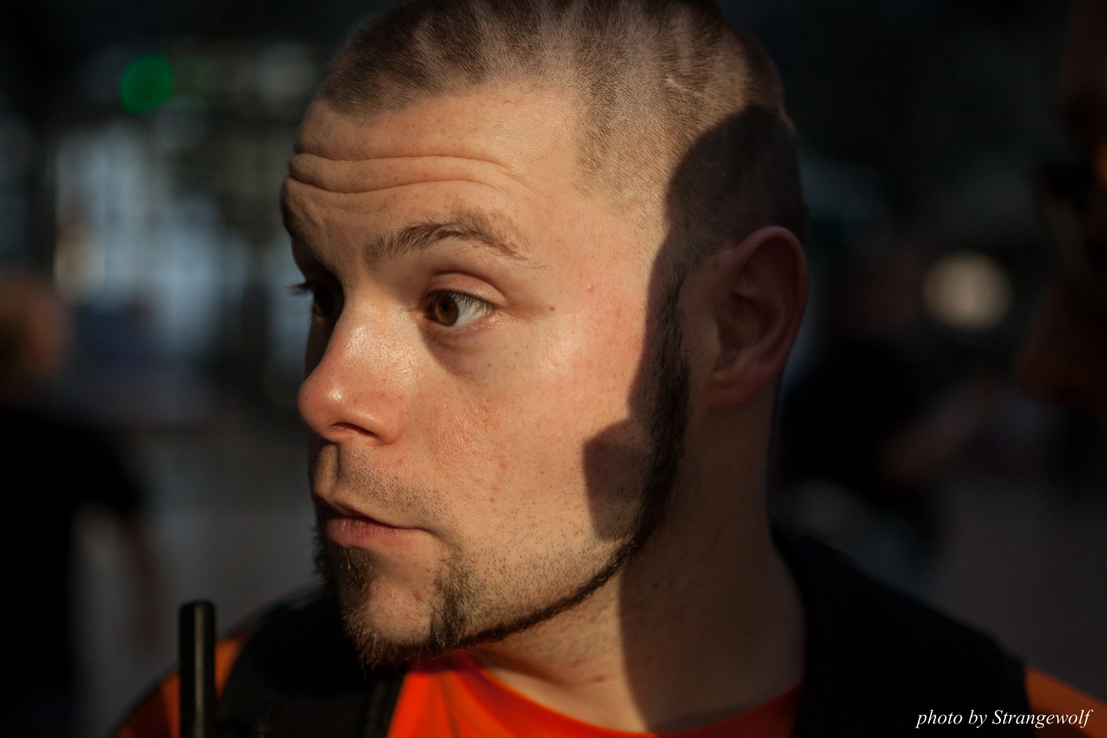 full image IMG_2174-lr16t.jpg