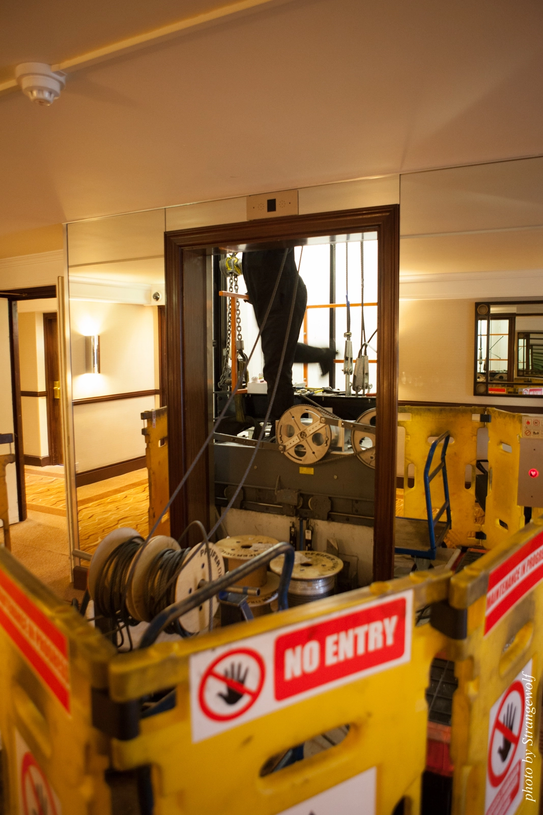 full image IMG_7738-lr16t.jpg