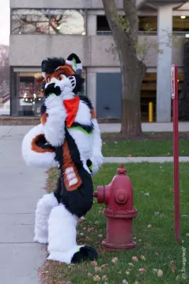 IMG_1029-lr19t.jpg of MFF/MFF2021/