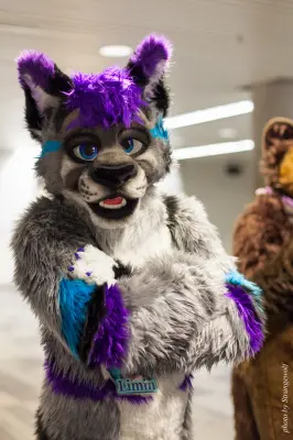 IMG_1135-lr16t.jpg of FC/FC2017/