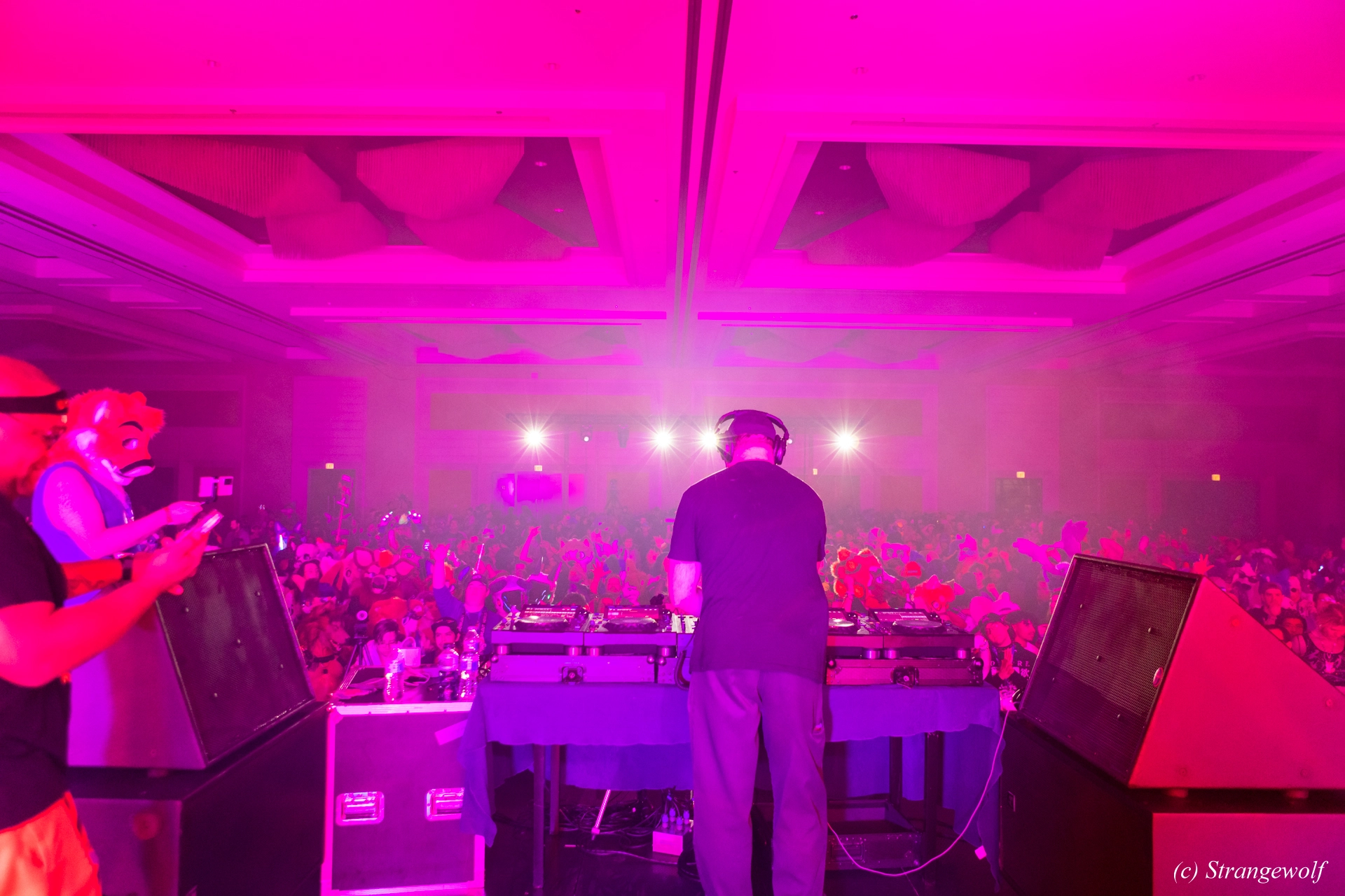 full image 1R3A5321-lr19t.jpg