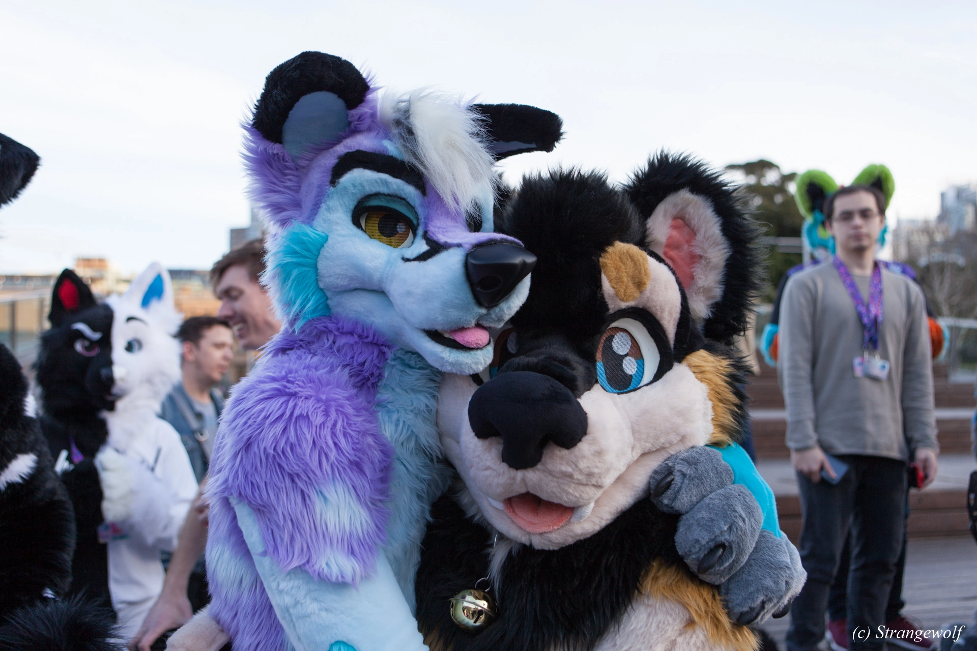 full image IMG_4666-lr19t.jpg