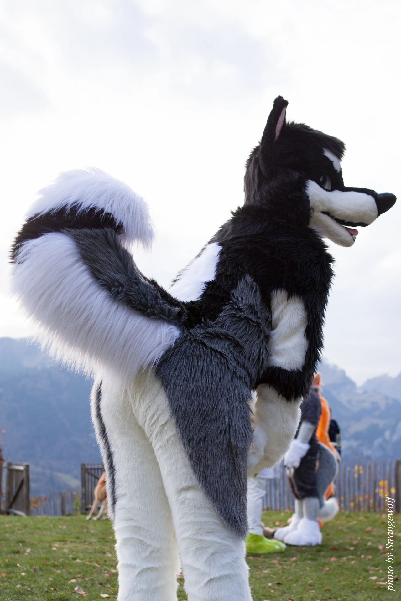 full image IMG_7957-lr19t.jpg