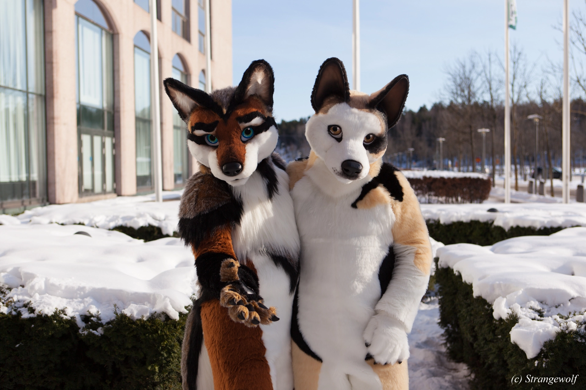 full image IMG_0021-lr19t.jpg