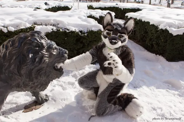 IMG_9599-lr19t.jpg of NFC/NFC2018/