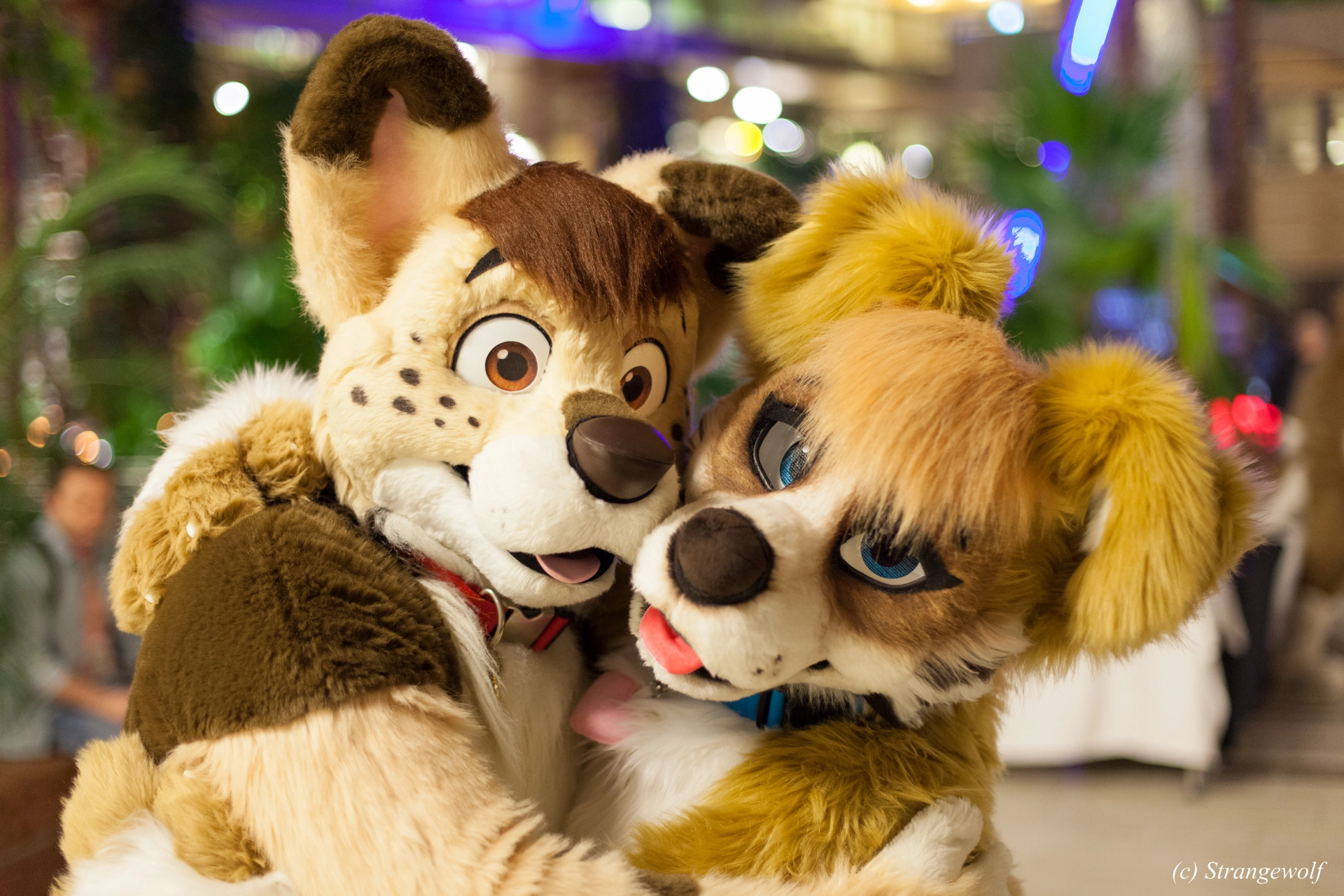 full image IMG_0868-lr19t.jpg