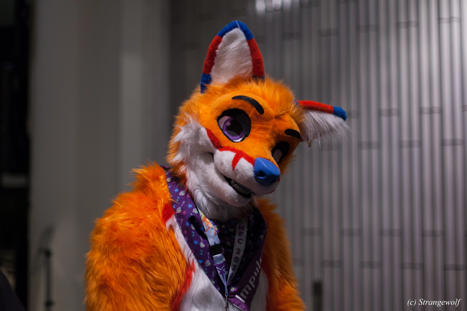 full image IMG_9148-lr19t.jpg