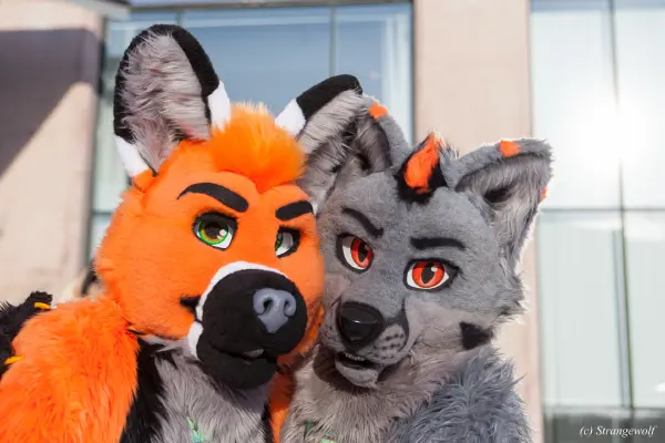 IMG_0150-lr19t.jpg of NFC/NFC2018/