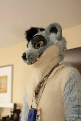 IMG_7503-lr19t.jpg of MFF/MFF2018/