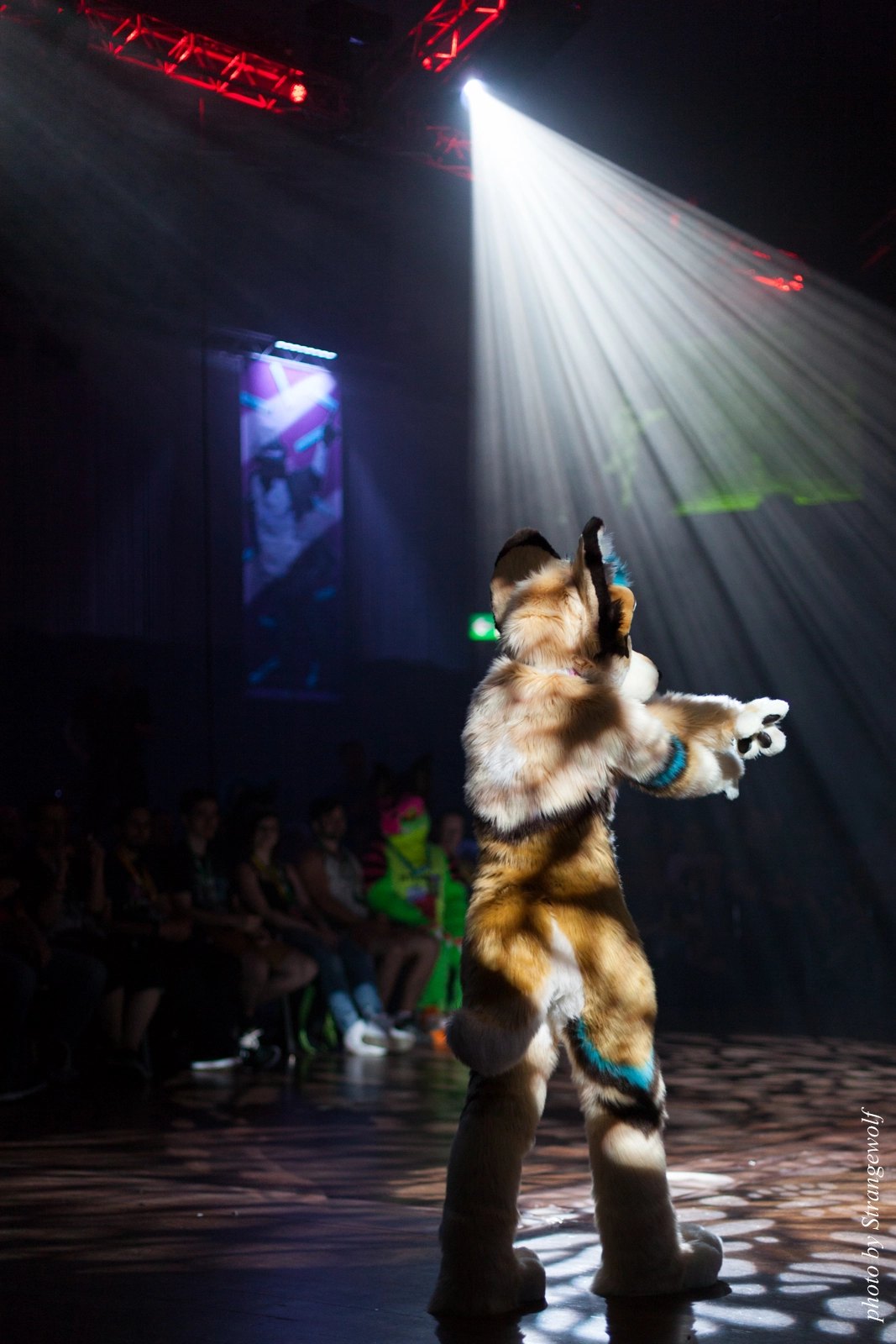 full image IMG_9600-lr16t.jpg